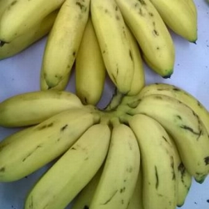 Banana Maçã Kg