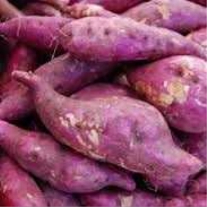 Batata Doce Roxa Kg